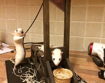 The guillotine free worldwide shipping taxidermy rats