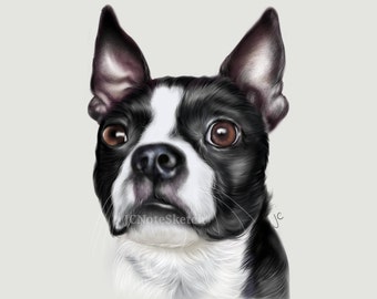 Custom Dog Portrait