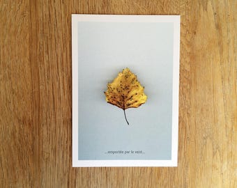 Carter postcard leaves "Gone with the wind" Ref: F - 1