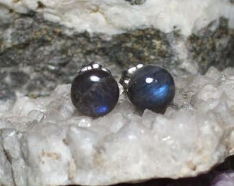Labradorescence Exists 7mm Round Cabochon Labradorite Stud Earrings Earings Titanium Post and Clutch Flash Sparkly Magic Hypo Allergenic