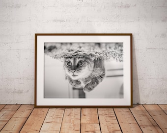 cat art print , cat lover gift , cat wall art , funny cat print , cat poster , black and white , instant download