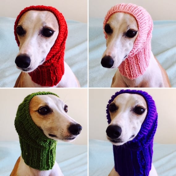 Snood Hund Halswärmer mittelgroße Whippet Windhund