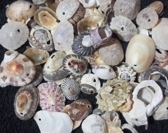 Natural white/beige limpet shells carefully selected from Greek sea and manually drilled for all sorts of crafts including jewellery making