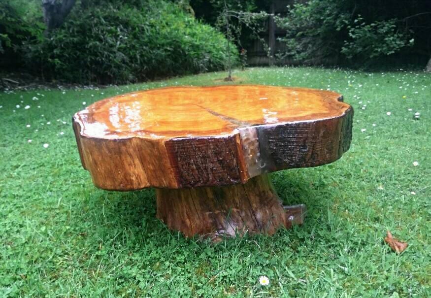 Handmade Tree Trunk Coffee Table