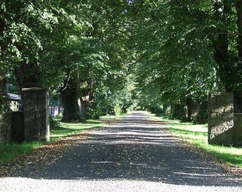 Farmhouse Entrance, Ireland