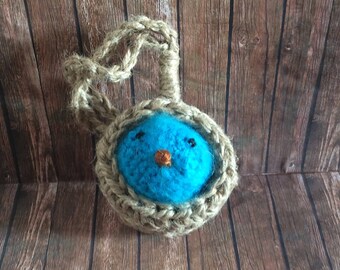 Fluffy Bluebird in his nest