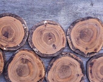 Holz Scheiben Holz Platten DIY Versorgung Handwerk Holz Baum Scheiben Hochzeit DIY Log Scheiben Holz Zubehör für DIY Projekte Satz von 10 4'' rustikal