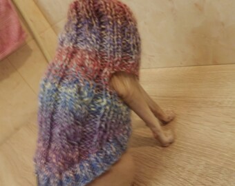 Sweater for cats . Sphinx. Сat clothes, cat sweater.