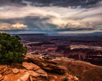 Utah Art, Utah Landscape, Canyonlands, Desert Art, Utah Pictures, Canyon Landscape, Art Prints, Utah Desert, Utah Photography, Utah Fine Art