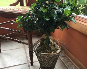 Flower pot stand | Etsy