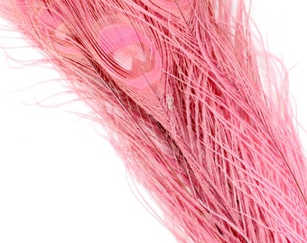 Plumes de paon rose. (5) teint à la plume d’oiseau rose. Plume de paon oeil coloré pour la décoration de la maison. Mariage plume. Rose longue plume 12 pouces