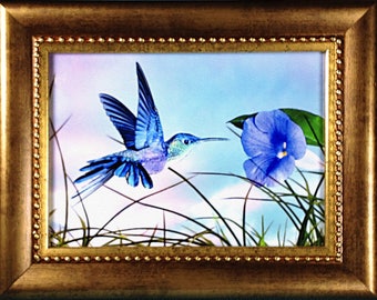 Framed Hummingbird and Morning Glory Print