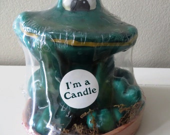 Hermitage pottery frog candle in Terra Cotta Pot