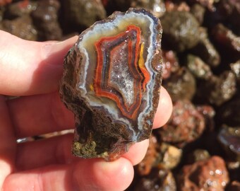 Condor Agate Rough! Jewelry Grade Small Nodules, Rare River Crossing Specimens! 1, 2, or 5Lb. Lots!