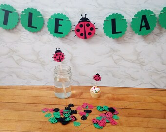 Little Ladybug Party Kit