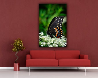 Butterfly Photograph, Black Swallowtail Photography, Vertical wall art, Living Room Wall Art, Fine Art Nature Photo Print, Butterfly Picture