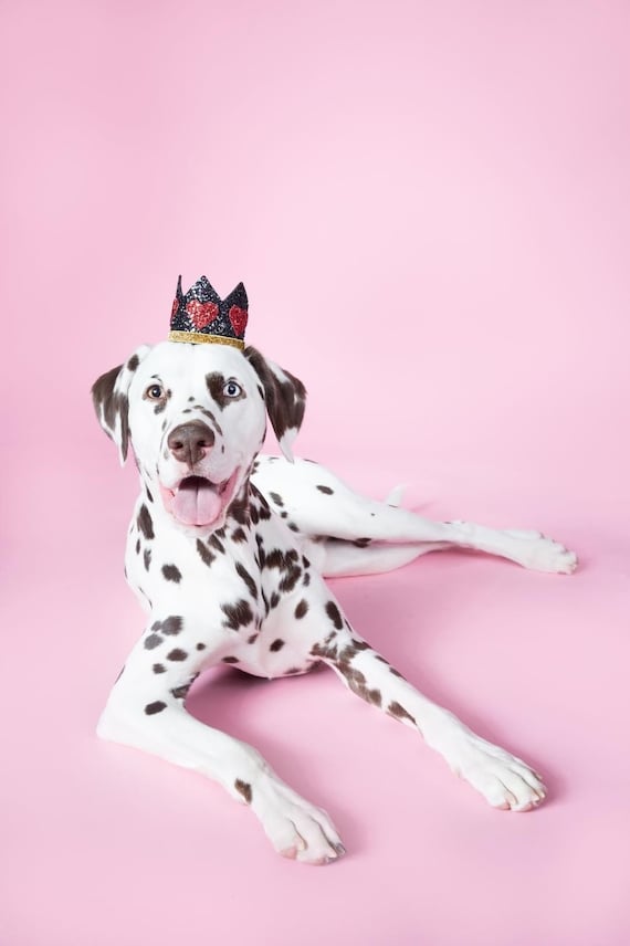 Dog Costume || King of Hearts Crown || Dog Hat || Crown Headband || Dog Clothes || Add Any Number