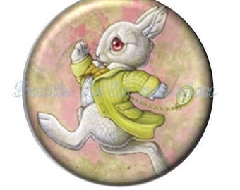 1 cabochon 30mm, fairytales, round glass