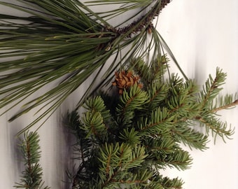Fresh Pine Tree Branches