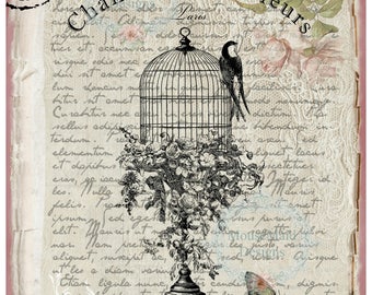 Wall Art Print A3 Shabby Chic Birdcage and Butterfly matt - unframed