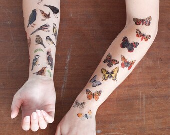 Butterfly & Moth Temporary Tattoos | Temporary Tattoo Set | British Butterflies and Moths | Butterfly Tattoos | Illustrated Wildlife Tattoos