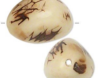 Tagua Nut Beads, Natural Tagua Nut, 28mm to 38mm Nugget, 2 each, D1044