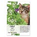 Catnip Herb Seeds (Nepeta cataria) Non-GMO Seeds by Seed Needs