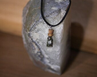 Rattlesnake Vertebrae Bottle Necklace with Moss