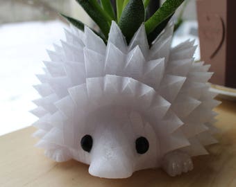Large Hedgehog Planter for Succulents ~ Cute Animal Pot, Succulent Planter, Cactus Plant Pot, Animal Planter, Cute HedgehogFamily