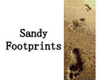 Peyote Bracelet Pattern Footprints in the Sand Beaded Peyote Bracelet Pattern 2 Drop Peyote