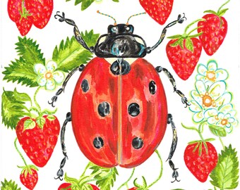 Ladybird in the Strawberry patch