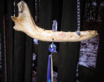 Coyote Jawbone Mandible Aurora Crystal Prism Quartz Statement Necklace Fairy Eclectic Cosplay Taxidermy Mothers day
