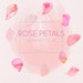 50% off SALE 45 Watercolor Clip Art Rose Petals hand Painted Commercial Use