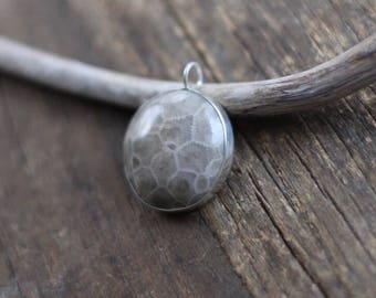 Large Petoskey Stone pendant