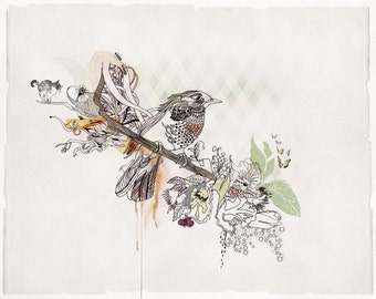 Bird Artwork Print of Original Ink Drawing, Watercolor Painting, Ink Bird Art