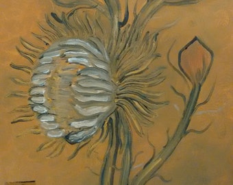 Cactus Flower