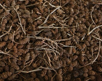 Box of mini pine cones