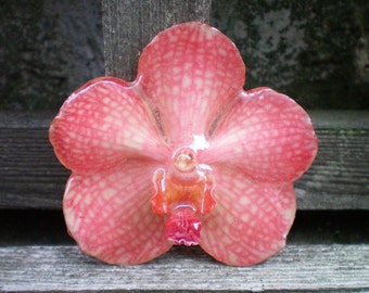 Free Shipping REAL Natural Rich Pink ORCHID Pin and Pendant