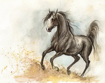 original pen and watercolour painting of a Dark grey arabian horse