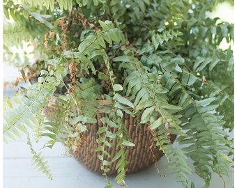 Large Wicker Basket | Woven Basket | Vintage Wicker Planter