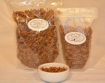 Freeze Dried Mealworms, Bird Treats, Hedgehog Treats, Sugar Glider Treats,