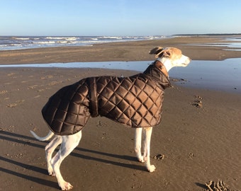 Greyhound waterproof winter coats fleece lined with short neck