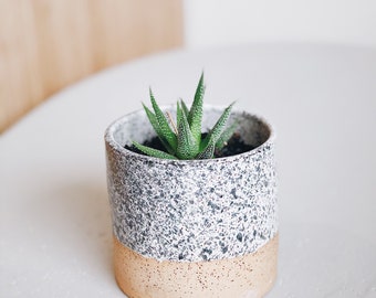 Black and white splattered speckled planter