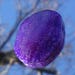 Fire Agate Crackle Purple