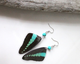 Black and Blue Butterfly Wing Earrings, Graphium Milon Swallowtail Butterfly