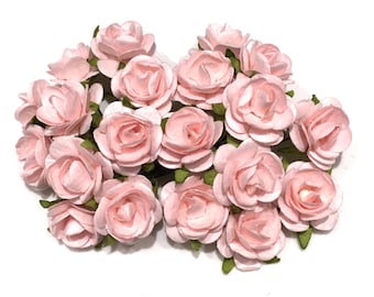 Pale Pink Open Roses Or044
