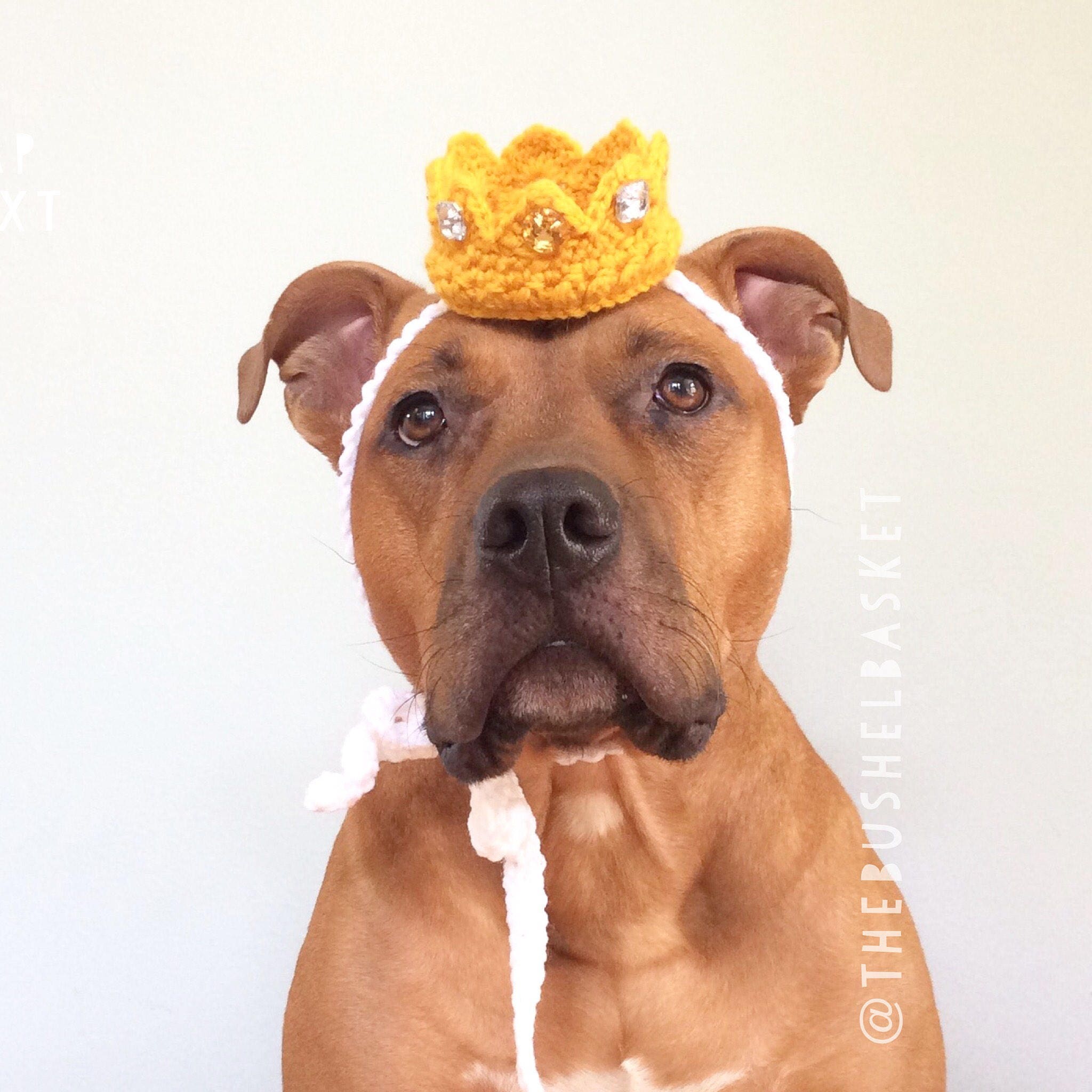 Dog Crown Dog Hat Photo Prop Dog Tiara Dog Party Hat