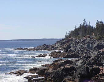 Shoreline in Maine