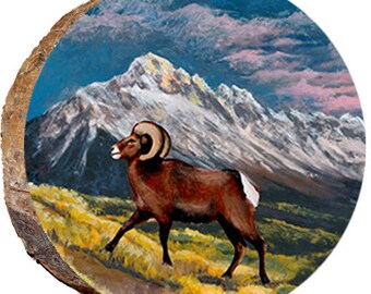 Ram in the Grass - DAR025