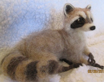 needle felt animal, Life sized young raccoon custom made for me by Hannah Stiles fully posable, finest needle felt work around